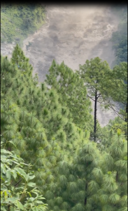 Nepal-Cataclysm (18)