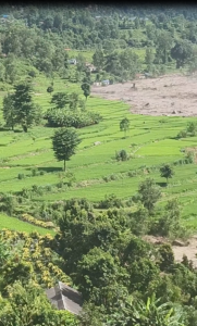 Nepal-Cataclysm (36)